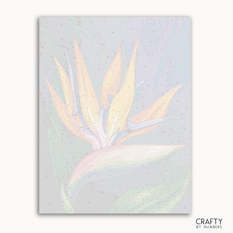 Flower Bird of Paradise