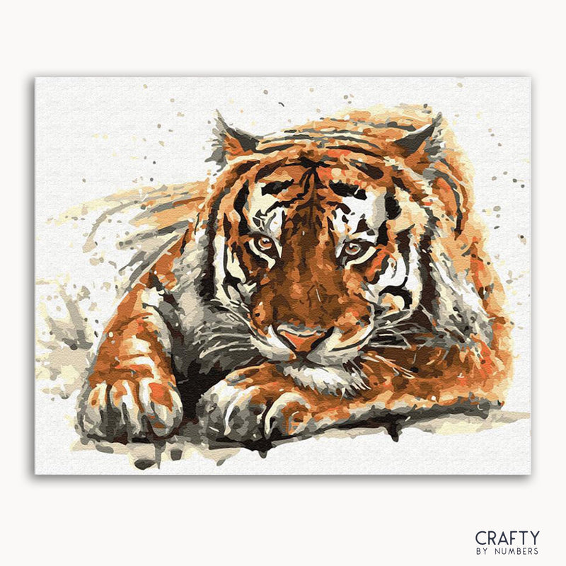 Amur Tiger