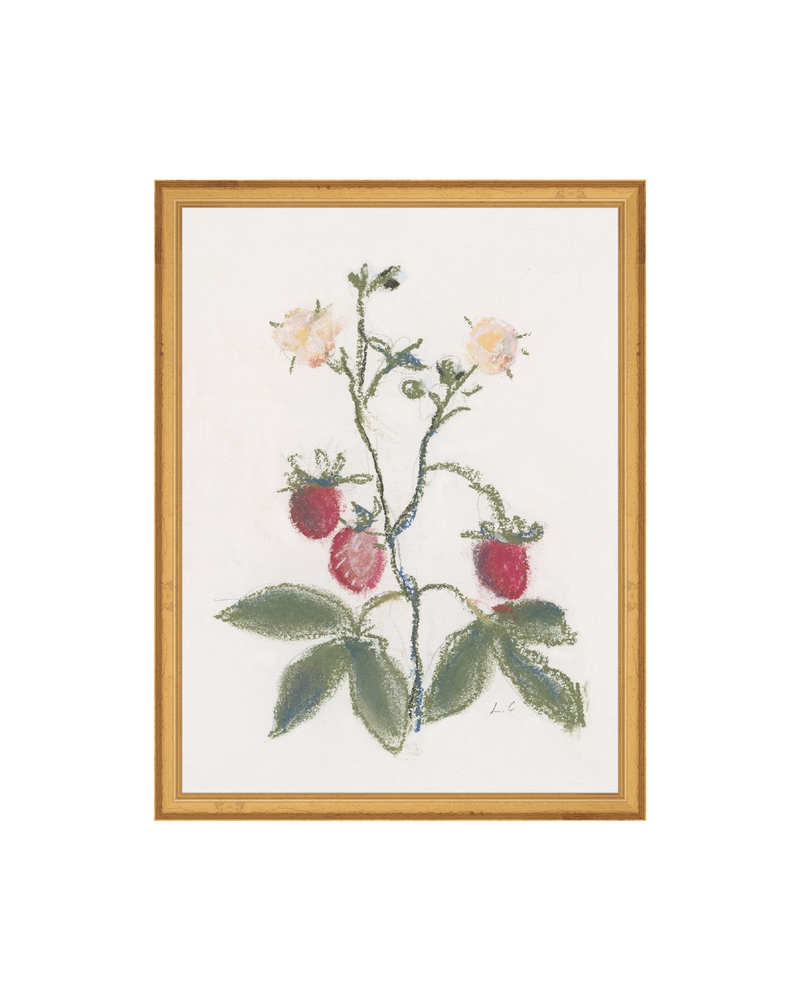 Strawberry Branch