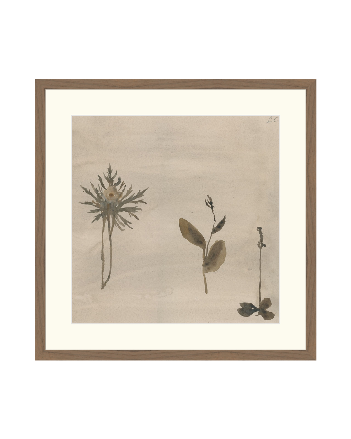 Botanical Thoughts IV, photo 7 of 25