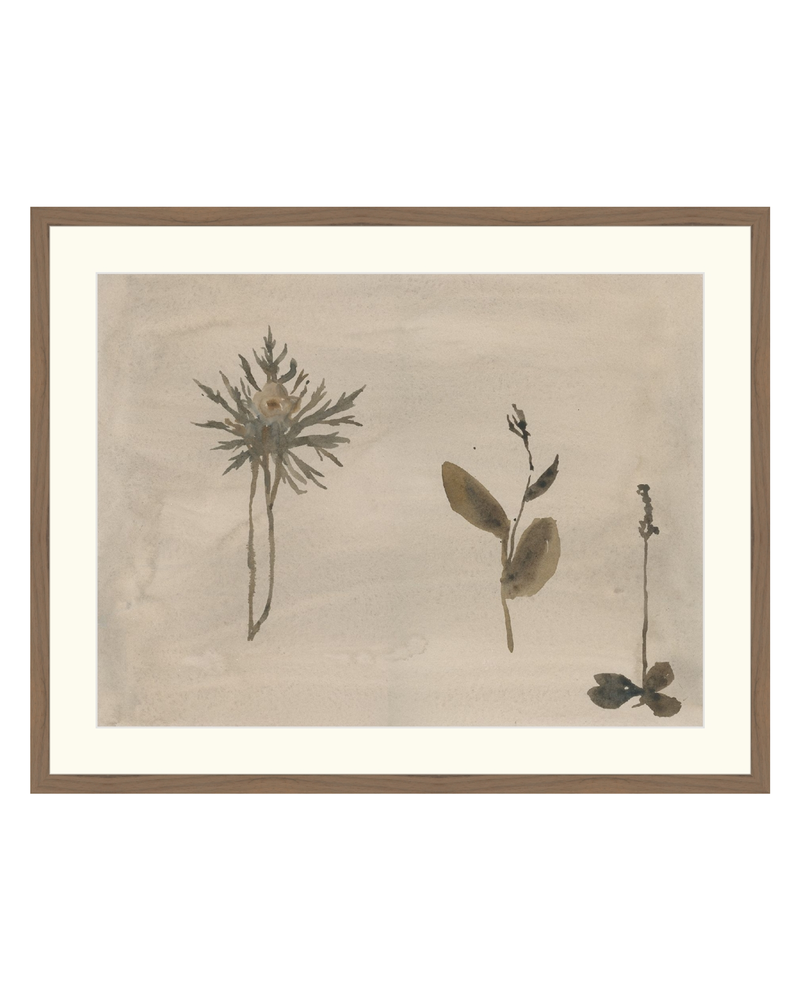 Botanical Thoughts IV