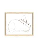 Bunny Charcoal Sketch