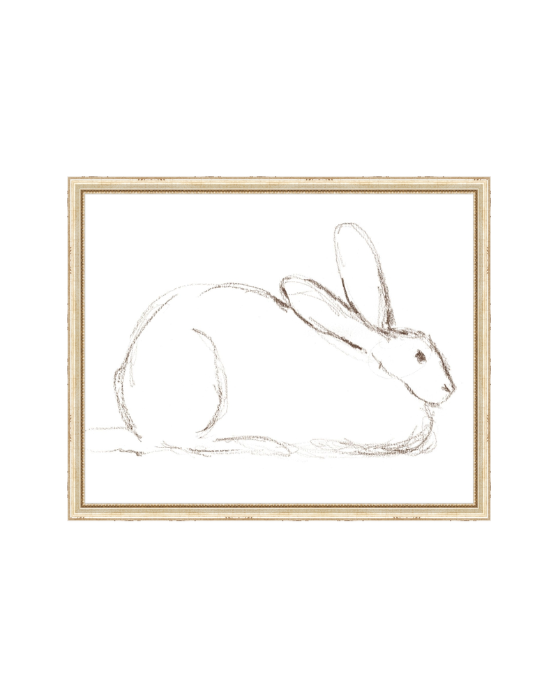 Bunny Charcoal Sketch