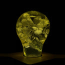 EP LIGHT Gift Set - 3-Pack LED Lights by EP Designlab LLC