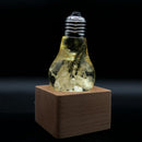 EP LIGHT Gift Set - 3-Pack LED Lights by EP Designlab LLC