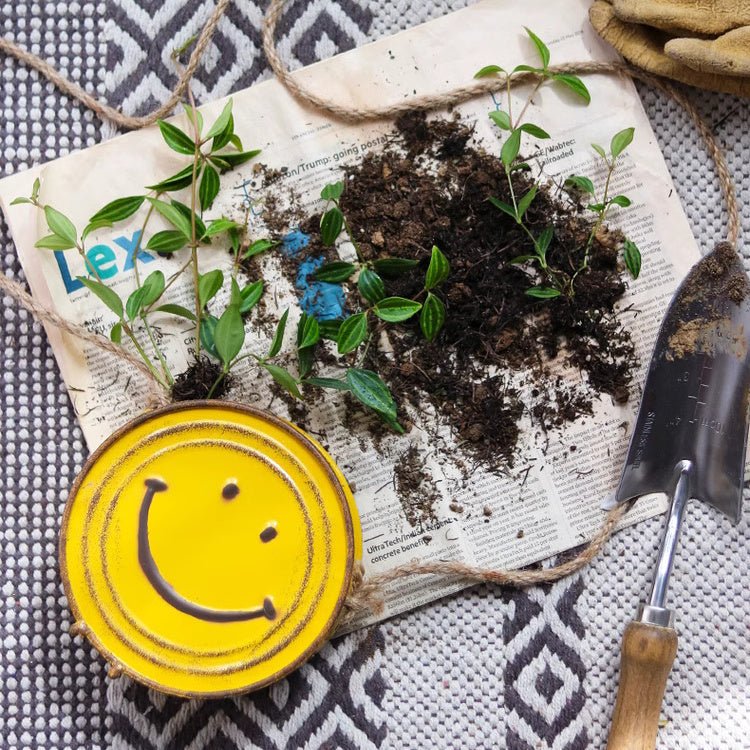 Happy Face Hanging Planter, photo 6 of 10