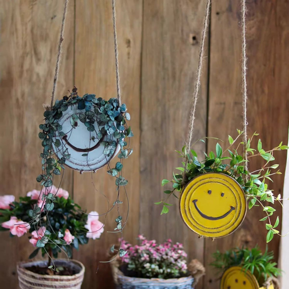 Happy Face Hanging Planter, photo 8 of 10