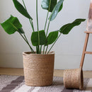 Natural Cylinder Storage and Planter Basket