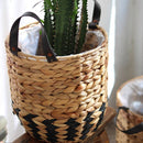 Two-Tone Basket Planter with Leather Handles