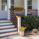 Lifelike Petunia Window Box Filler