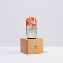 EP LIGHT - 4-Pack LED Lights by EP Designlab LLC