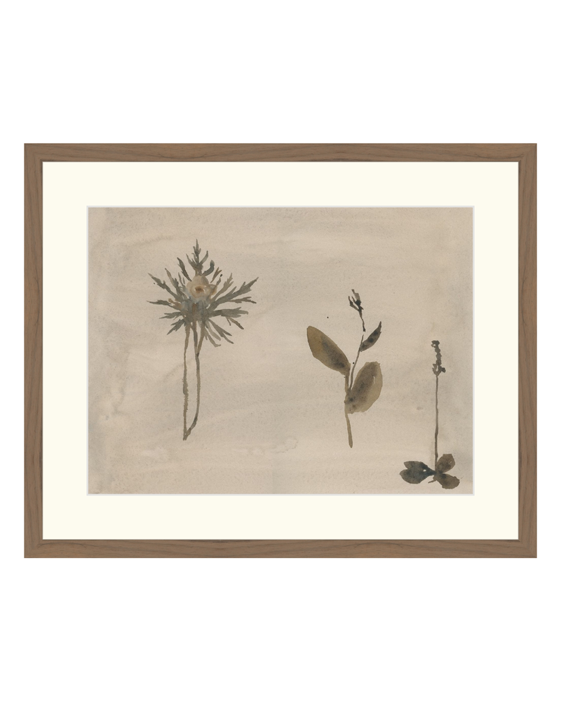 Botanical Thoughts IV