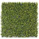 Sample Panel – Yellow English Boxwood Green Wall (Small Sample)
