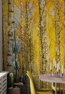 Autumn Scenic Birch Tree Forest Wall Mural | Peel and Stick Wallpaper.