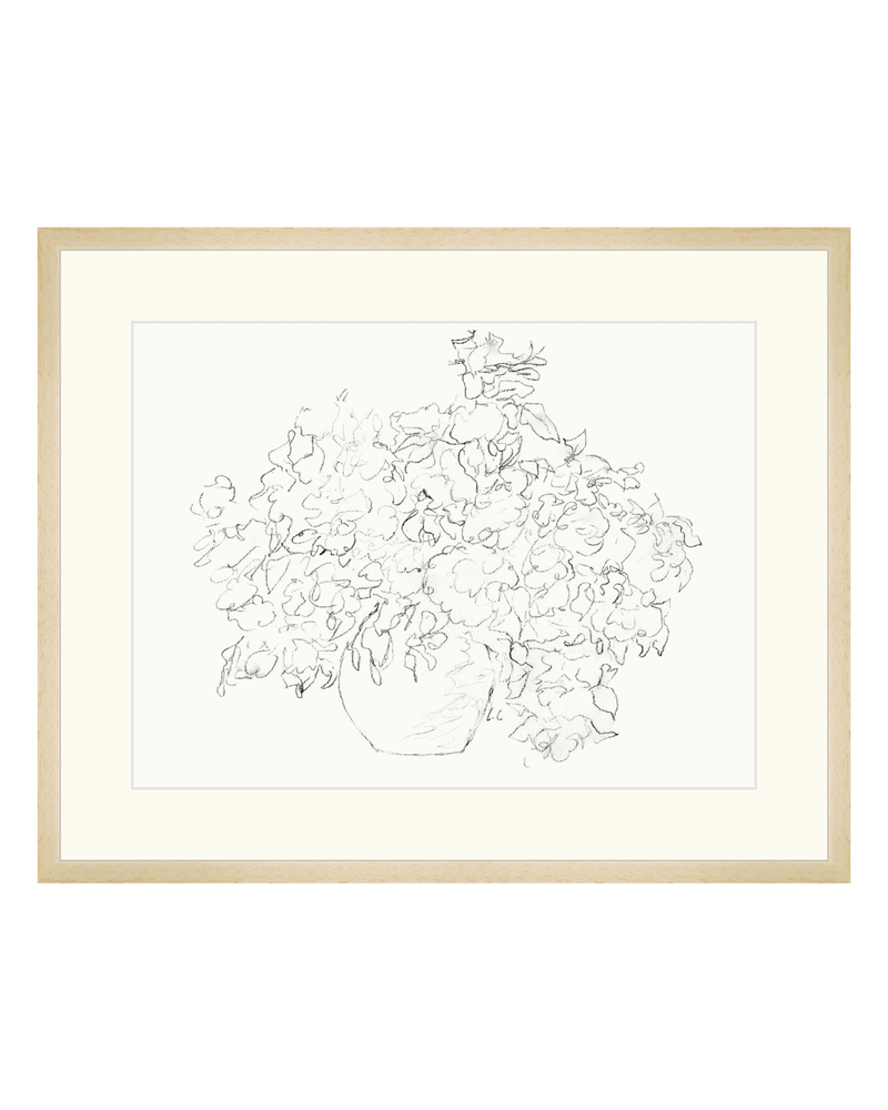 Vase of Flowers Sketch