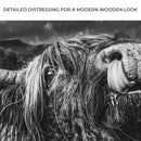 West Highland Cow Monochrome Canvas Wall Art