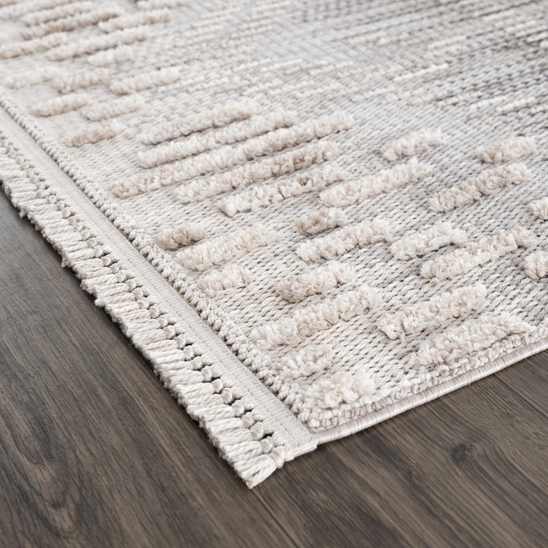 Poydras High-Low Rustic Rug