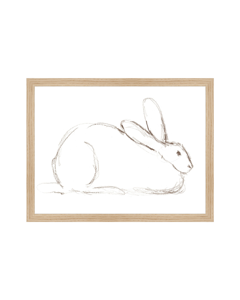 Bunny Charcoal Sketch