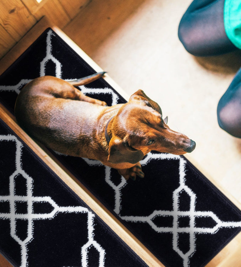 Stair Treads Rug 9"x28" Zigzag Collection | Navy & White