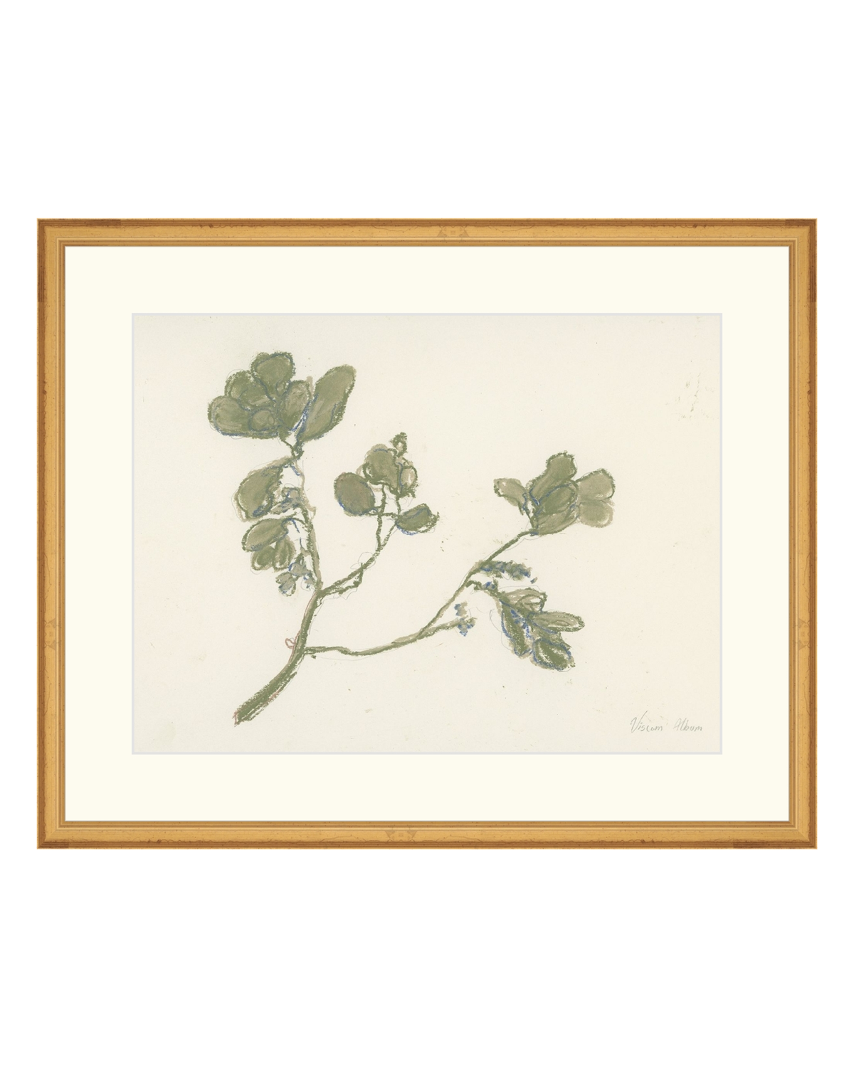 Pastel Mistletoe, photo 27 of 28