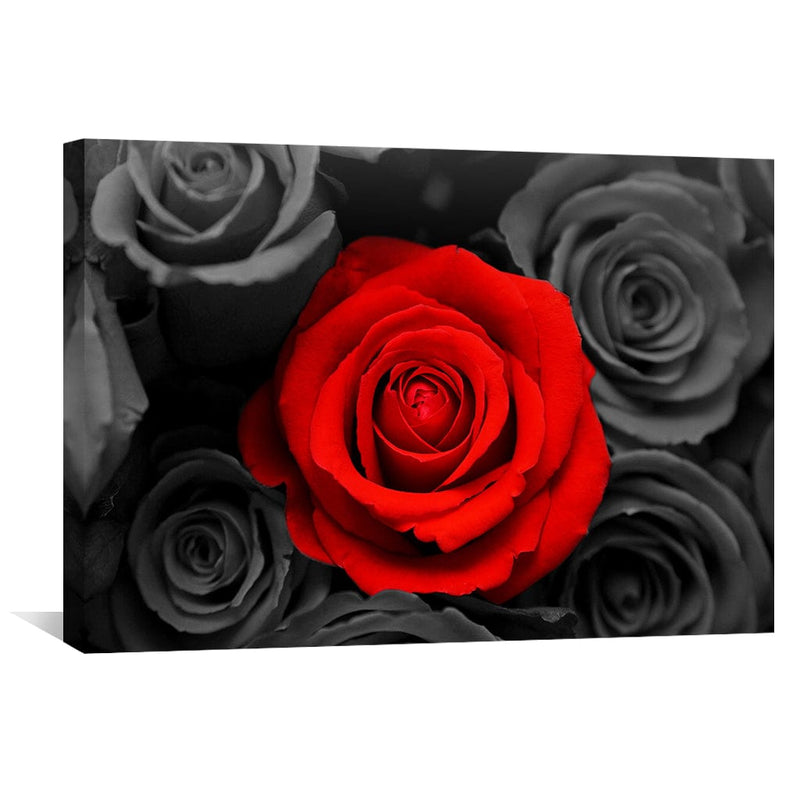 A Rose Among The Crowd Canvas