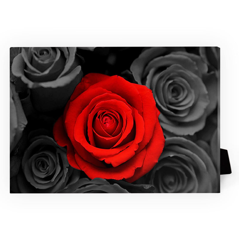 A Rose Among The Crowd Desktop Canvas