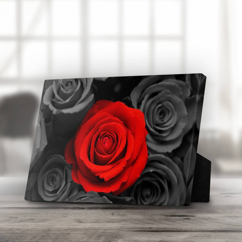 A Rose Among The Crowd Desktop Canvas