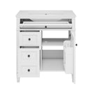 Bathroom Vanity With Top Sink, Storage Cabinet With 2 Drawers, Tip Out Drawer
