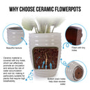 Flowerpot, Planter For Patio, Garden, Windowsill by HouseOfZazla