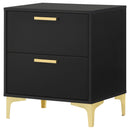 2 Drawer Rectangular Nightstand - Black by HouseOfZazla
