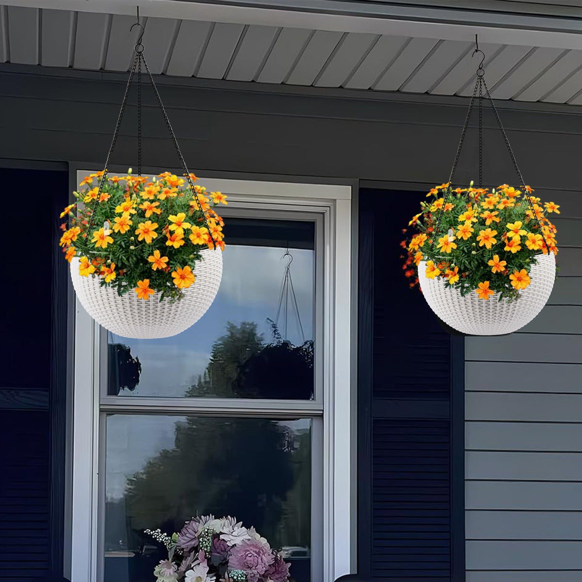 Self Watering Hanging Planter, photo 13 of 21