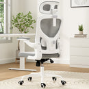 Ergonomic Office Chair with Headrest and Lumbar Support