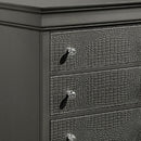 Blaze - 5 Drawer Chest by HouseOfZazla