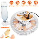 GBruno 12 Eggs Incubator for Hatching