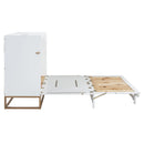 Murphy Bed With Iron Legs, Modern Design by HouseOfZazla