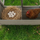 Large Chicken Coop with 20.93 Sq Ft Run by HouseOfZazla