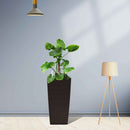Indoor Outdoor Planter With Automatic Watering System by HouseOfZazla