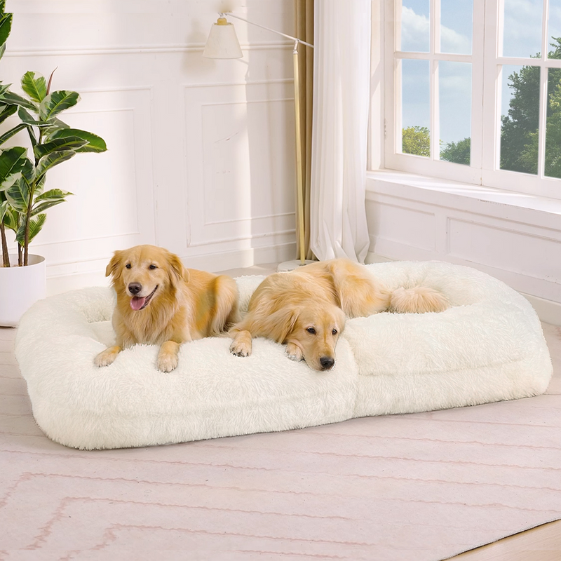 Human Dog Bed & Lazy Sofa, photo 9 of 10