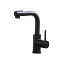 Black Kitchen Sink Faucet with Pull Down Sprayer