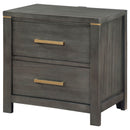 Herndon - 2 Drawer Nightstand With USB Port, Storage Furniture - Gray by HouseOfZazla