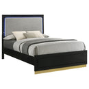 Sophia - Panel Bed With LED Headboard