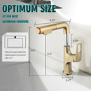 Pull Down Vessel Faucet With Lift Spout & Dual Spray Modes by HouseOfZazla