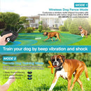 GBruno 2 In 1 Wireless Electric Dog Fence by GBruno Store