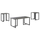 3 Piece Occasional Set With Smooth Top - Gray