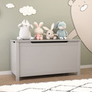 Toy Box Storage With Safety Hinged Lid by Unique Piece Furniture