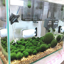 5cm-6cm-7cm Large Moss Balls Huge Giant Series: Kokedama Large Moss Ball for Betta Fish Aquarium Plants Marimo Petco