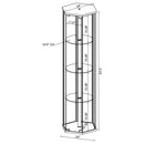 Tenley - 4 Shelf Curio Cabinet With Hexagonal Design by HouseOfZazla