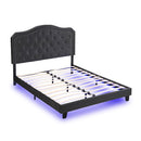 Queen Upholstered Bed Button Tufted with Curve Design