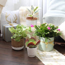 4 inch White Minimalist Pot with Saucer