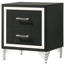 Malcolm - 2 Drawer Nightstand - Black by HouseOfZazla